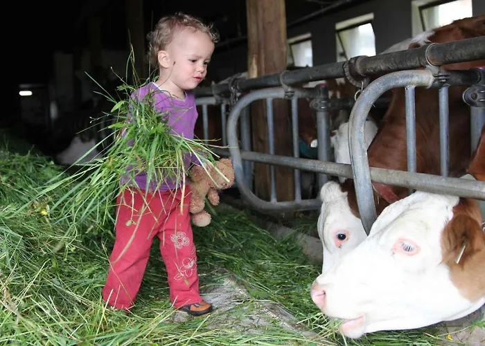 Bauernhof Sennhof Farma