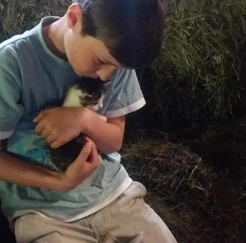 Farma Bauernhof Sennhof Weerberg