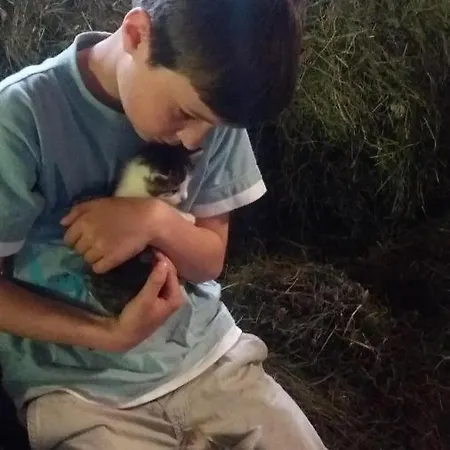 Alloggio per agriturismo Bauernhof Sennhof Weerberg